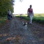 Marche Gourmande 2023